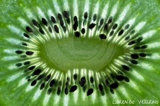 Frutas - Kiwi